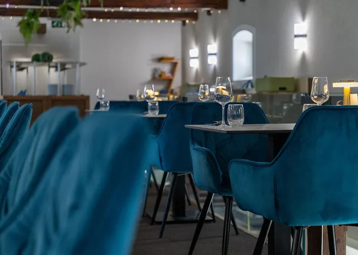 تسي ايه بلازا شيوفوك