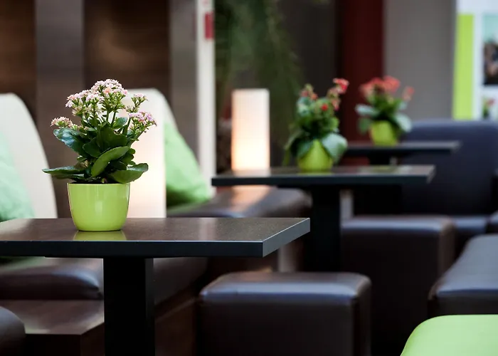 تسي ايه بلازا 4*